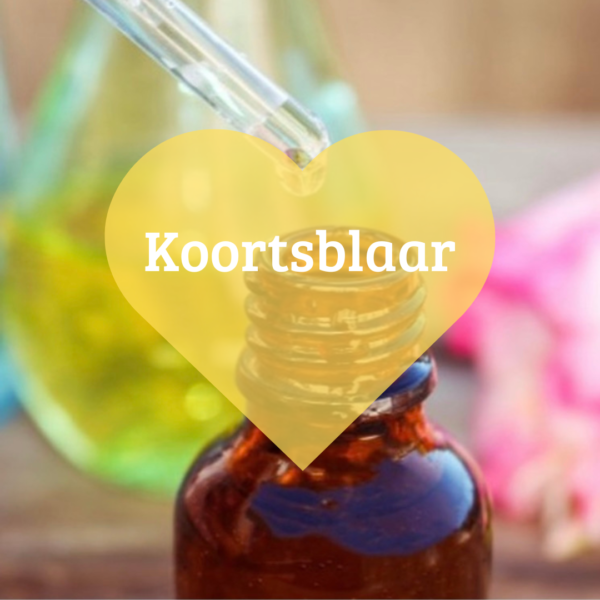 Koortsblaar